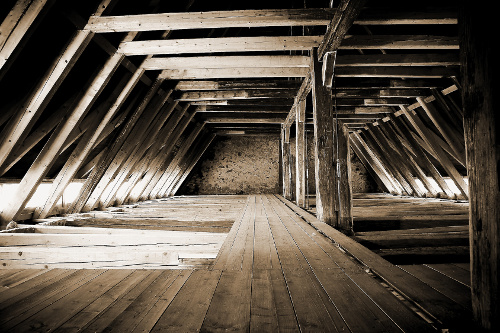 Holzschutz DIN68800-4 Service - Professionelle Schädlingsbekämpfung Niederbayern, IHK-geprüft Kammerjäger